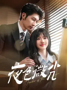 夜色微光（91集）王子林＆田甜一